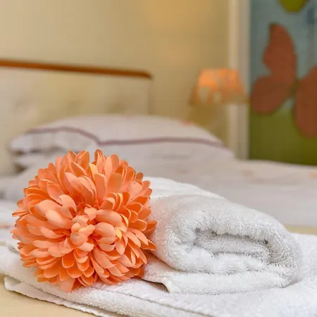 The Warren Bed & Breakfast